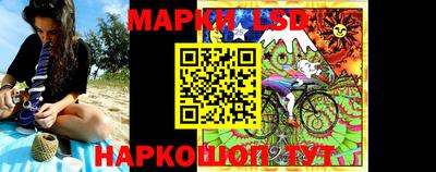 гашик Донецк