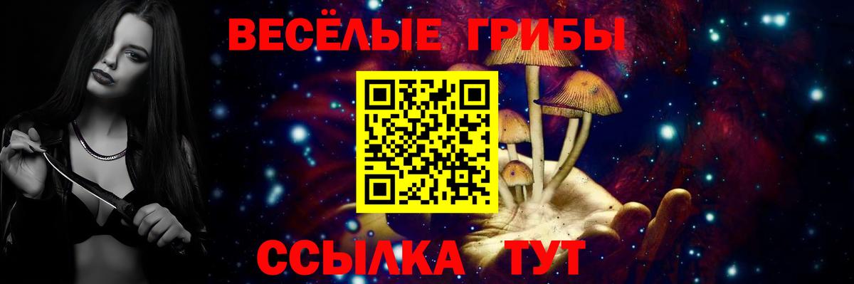 Псилоцибиновые грибы мицелий  Вход с VPN  как найти   Псилоцибиновые грибы ЛСД  Ипатово 